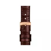 Tissot Official Brown Leather Strap Lugs 15 mm T852.043.042